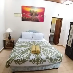 Muka House Affittacamere