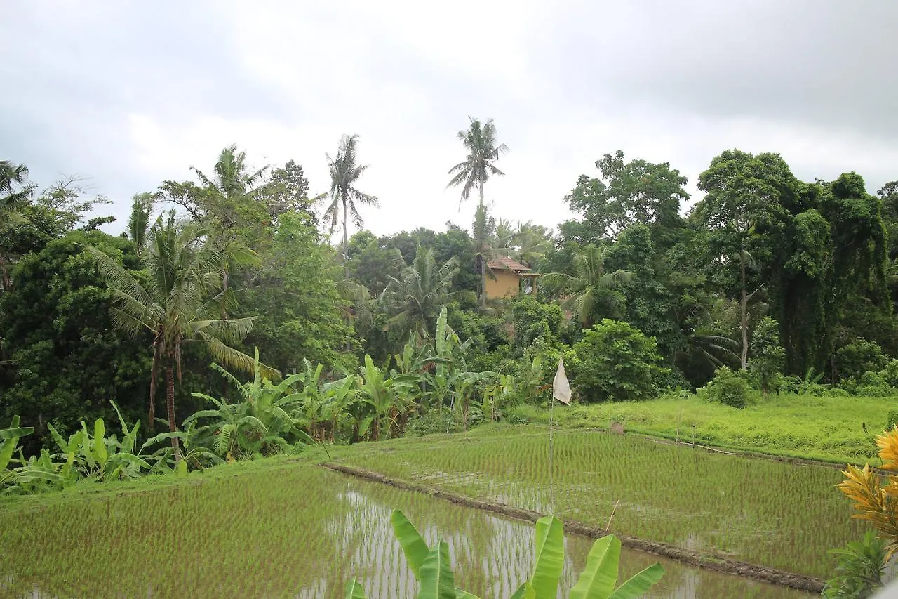 Ubud Sensasi Bungalow אובוד
